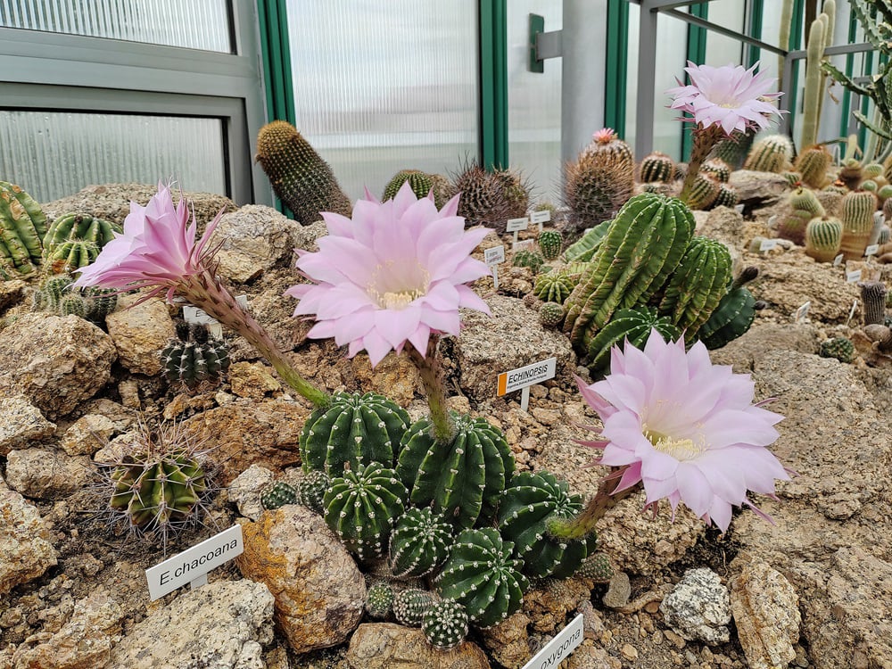 Botanischer Garten Liberec